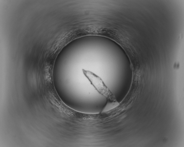 X0000112041202200908031508