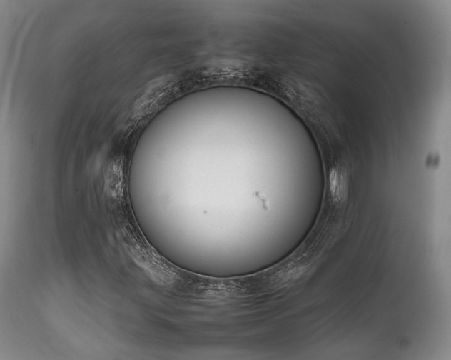 X0000112041203200908031508