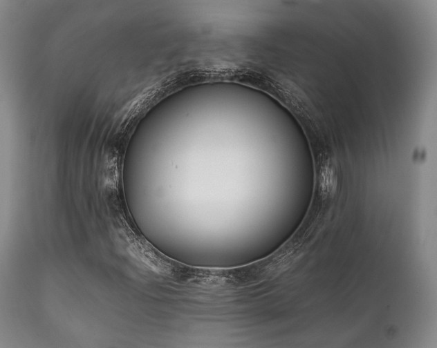 X0000112041204200908031508