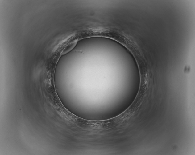 X0000112041205200908031508