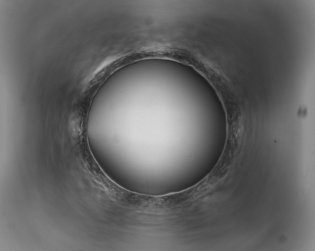 X0000112041206200908031508