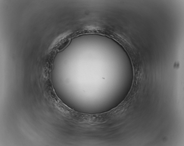 X0000112041207200908031508