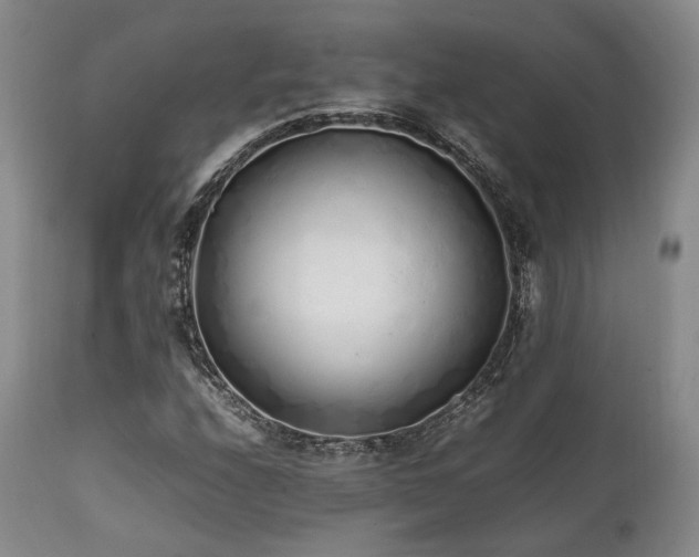 X0000112041208200908031508