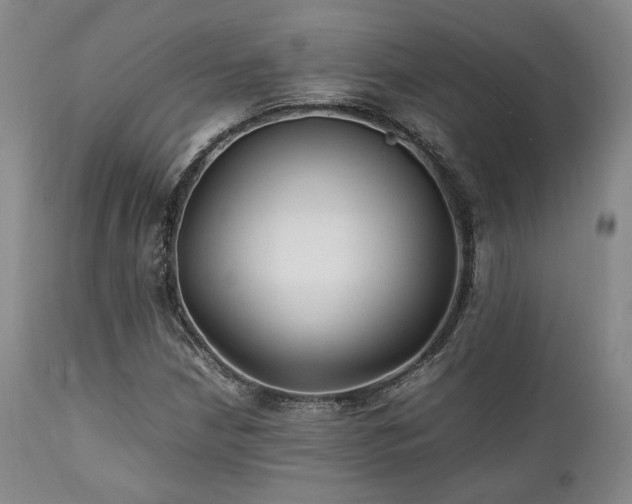X0000112041210200908031508