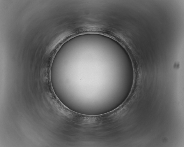 X0000112041211200908031508