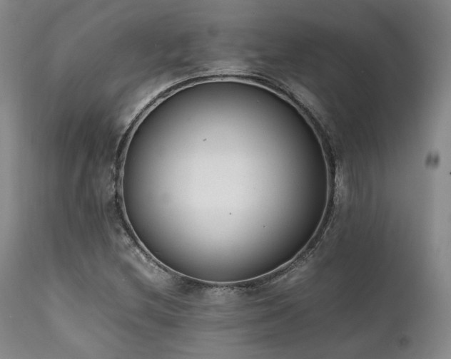 X0000112041212200908031508