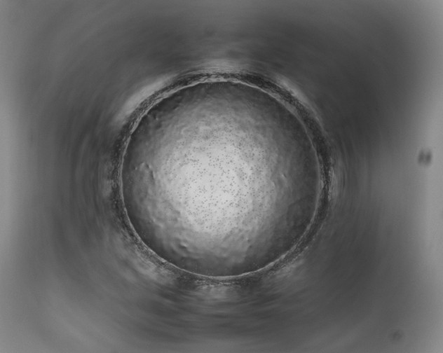 X0000112041213200908031508