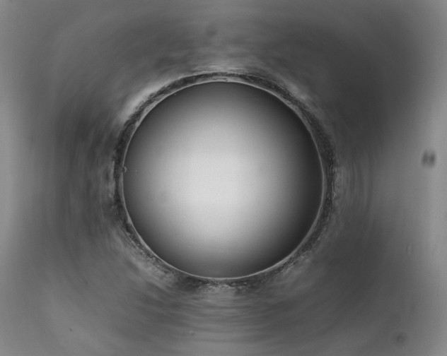 X0000112041214200908031508