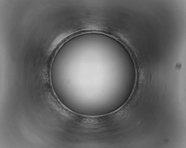 X0000112041215200908031508