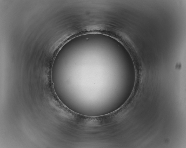 X0000112041217200908031508