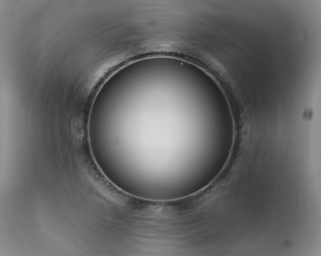 X0000112041218200908031508