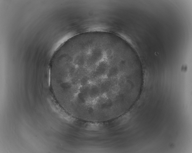 X0000112041219200908031508