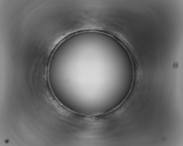 X0000112041220200908031508