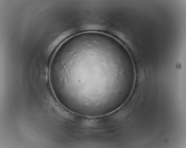 X0000112041221200908031508