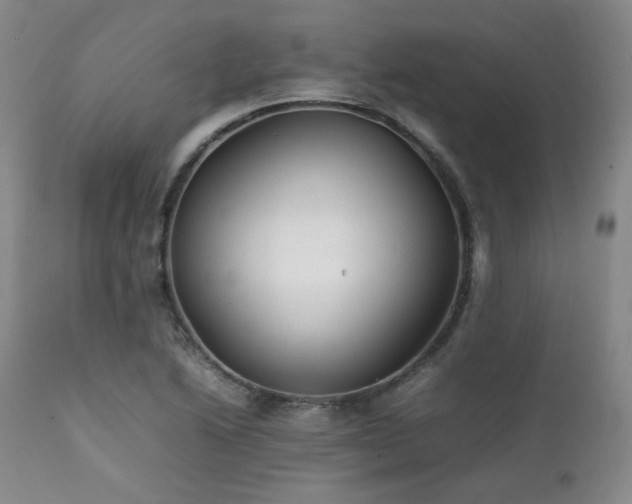 X0000112041222200908031508