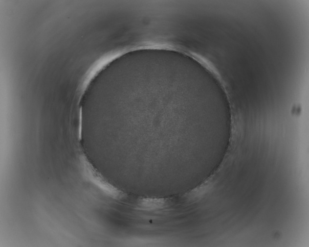 X0000112041223200908031508