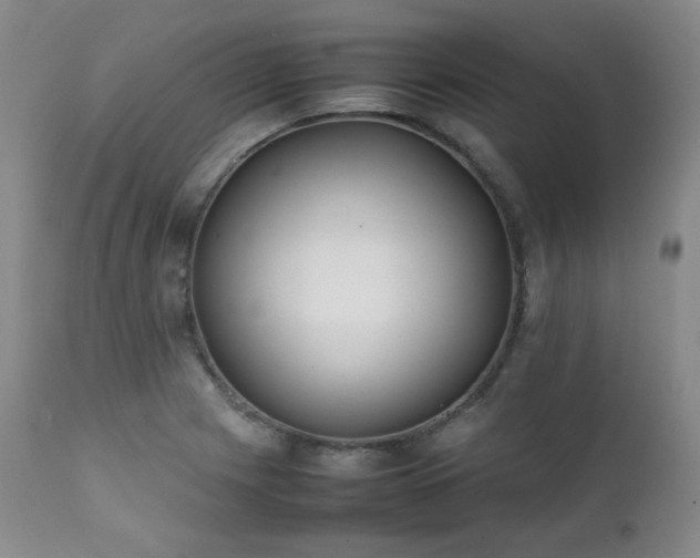 X0000112041225200908031508