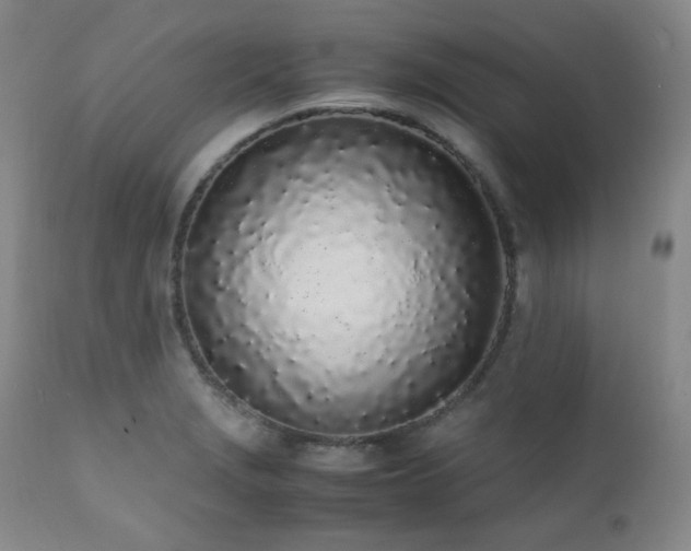 X0000112041229200908031509