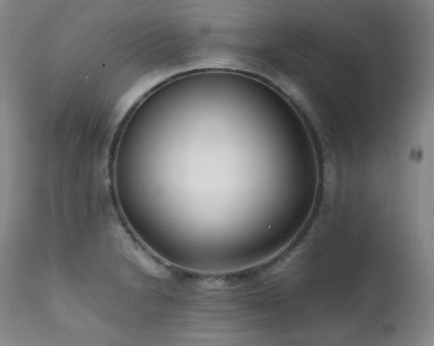 X0000112041230200908031509