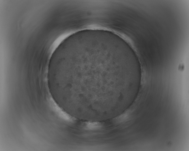 X0000112041231200908031509