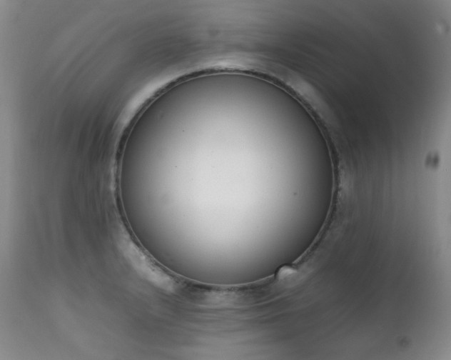 X0000112041232200908031509