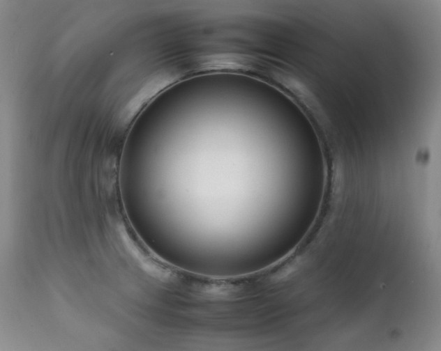 X0000112041233200908031509