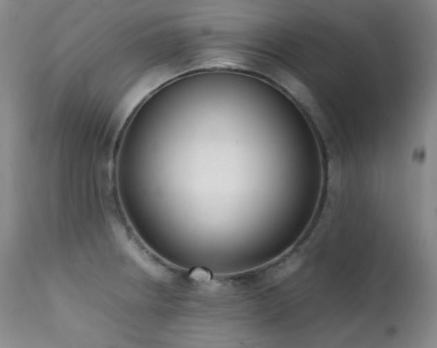 X0000112041234200908031509