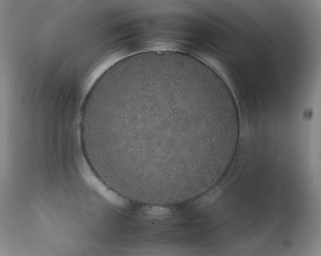 X0000112041235200908031509