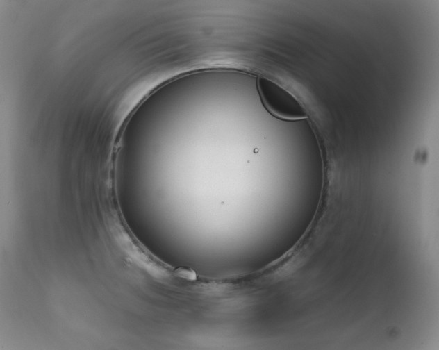 X0000112041236200908031509