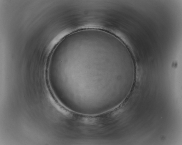 X0000112041237200908031509