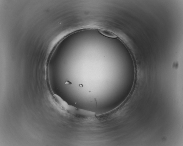 X0000112041238200908031509