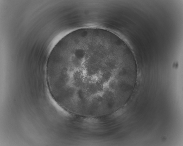 X0000112041239200908031509