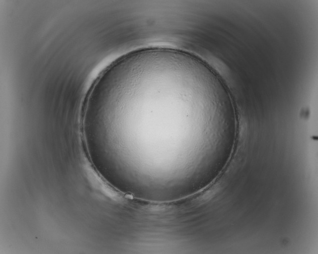 X0000112041240200908031509