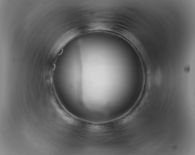 X0000112041241200908031509