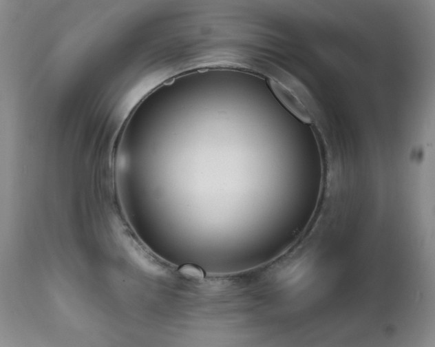 X0000112041242200908031509