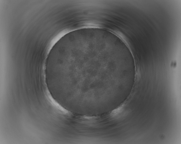 X0000112041243200908031509