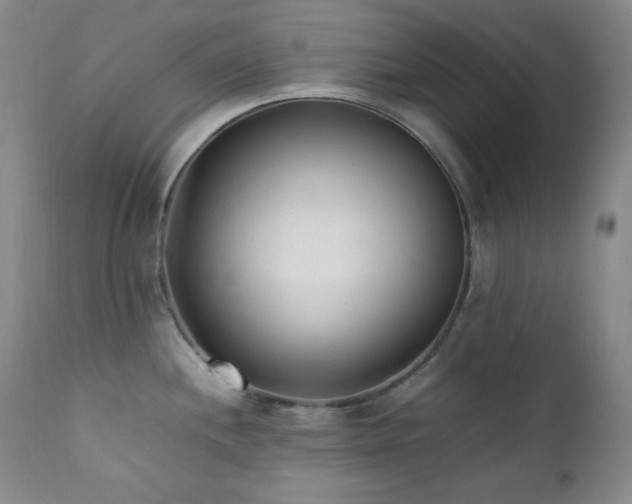 X0000112041244200908031509