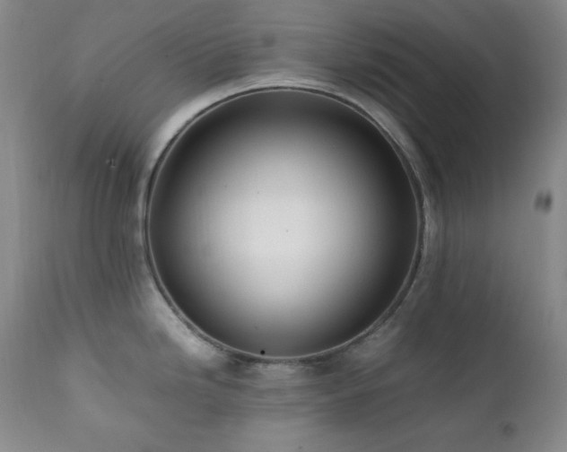 X0000112041246200908031509