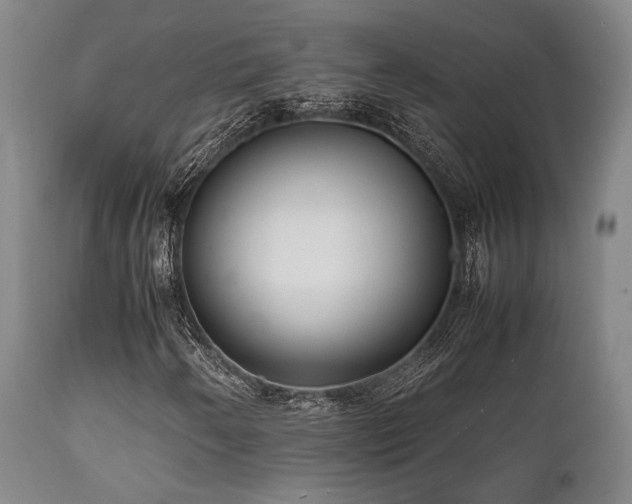 X0000112041250200908031508