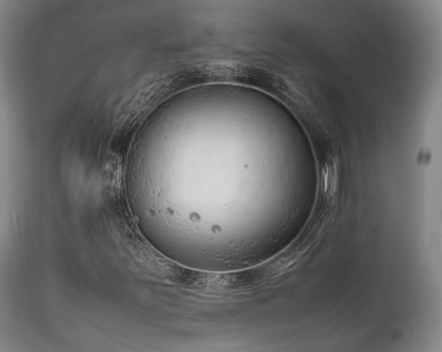 X0000112041251200908031508