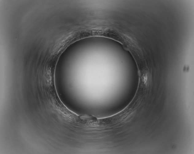 X0000112041252200908031508