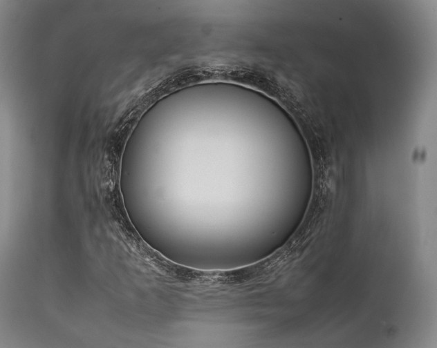 X0000112041253200908031508