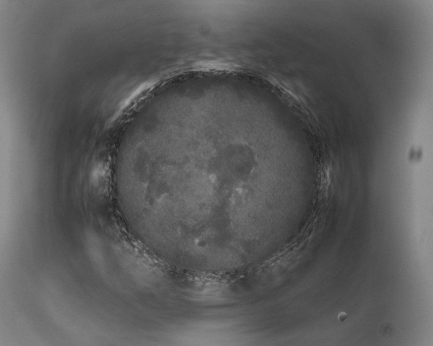 X0000112041254200908031508