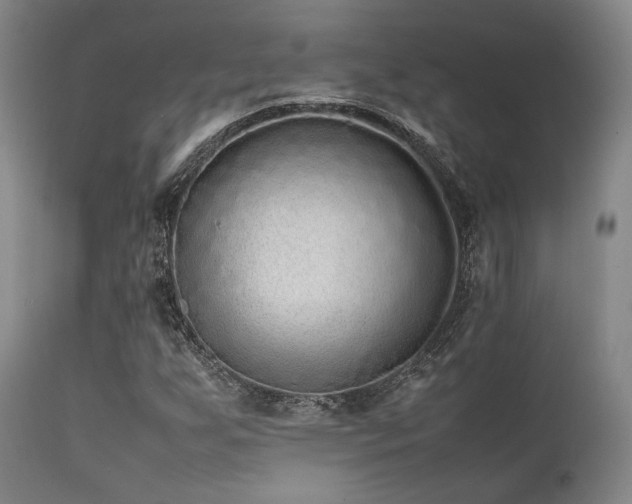 X0000112041255200908031508