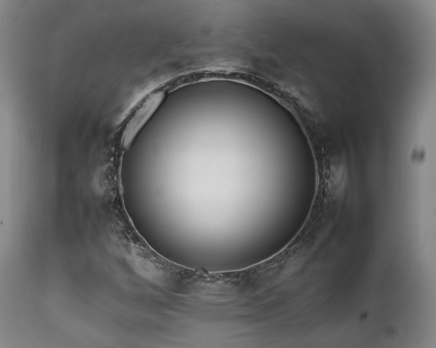 X0000112041256200908031508