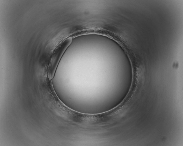 X0000112041257200908031508
