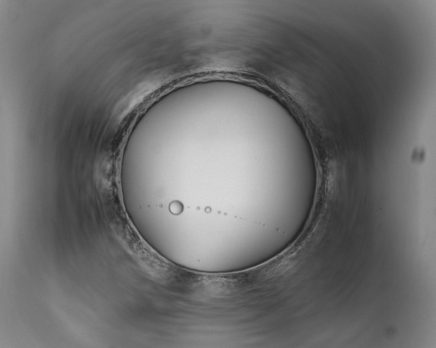X0000112041258200908031508