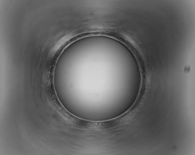 X0000112041259200908031508
