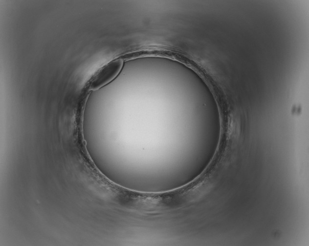 X0000112041261200908031508