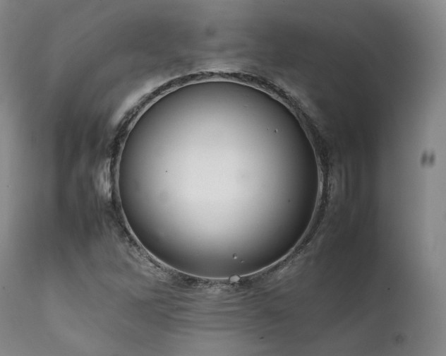 X0000112041262200908031508